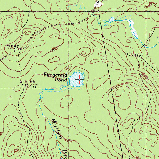 Topographic Map of Fitzgerald Pond, ME