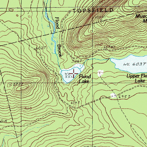 Topographic Map of Flood Lake, ME
