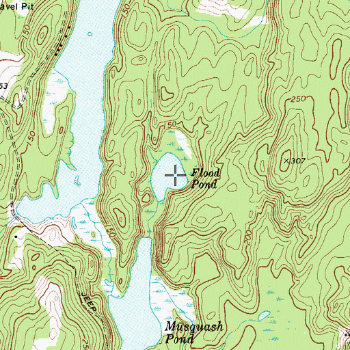 Topographic Map of Flood Pond, ME
