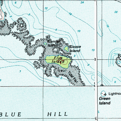Topographic Map of Flye Island, ME