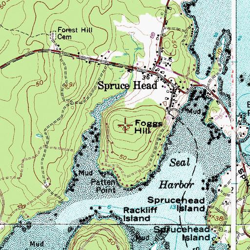Topographic Map of Foggs Hill, ME