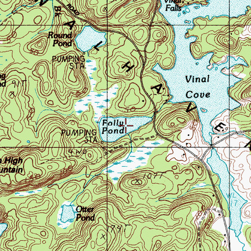 Topographic Map of Folly Pond, ME