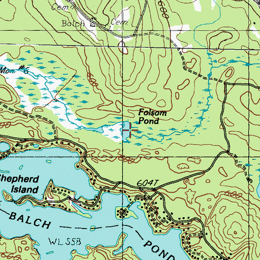 Topographic Map of Folsom Pond, ME