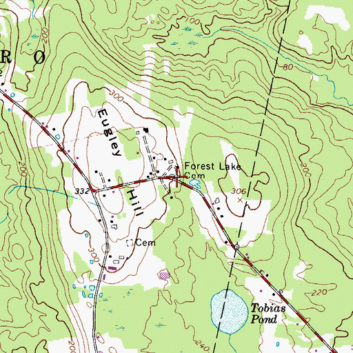 Topographic Map of Forest Lake Cemetery, ME