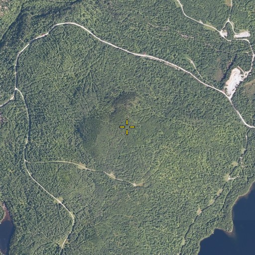 Aerial/Satellite Image of Foss Mountain, ME