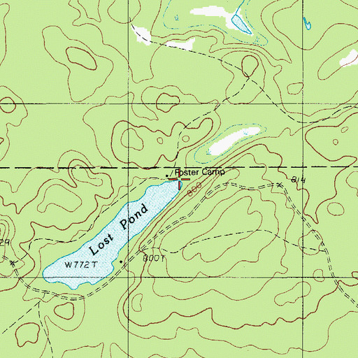 Topographic Map of Foster Camp, ME