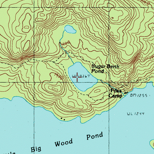 Topographic Map of Foxs Camp, ME