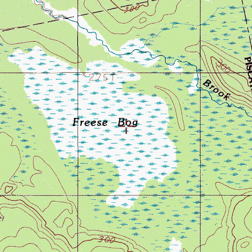 Topographic Map of Freese Bog, ME
