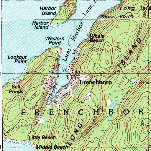 Topographic Map of Frenchboro, ME