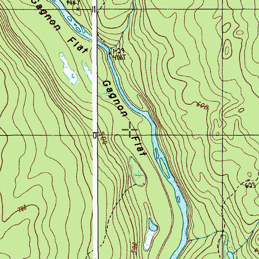 Topographic Map of Gagnon Flat, ME