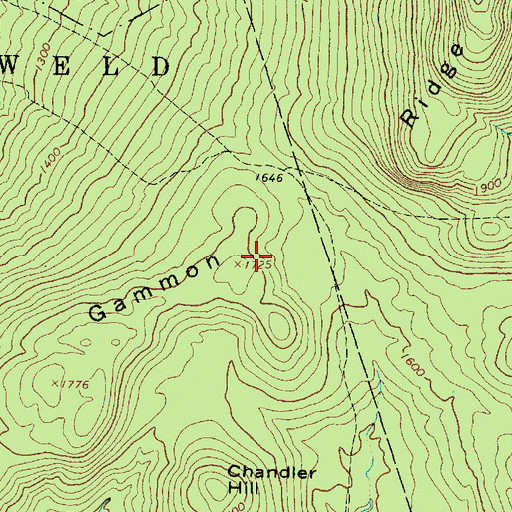 Topographic Map of Gammon Ridge, ME