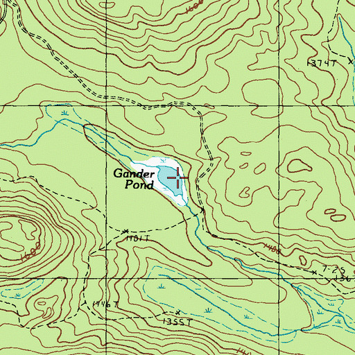 Topographic Map of Gander Pond, ME