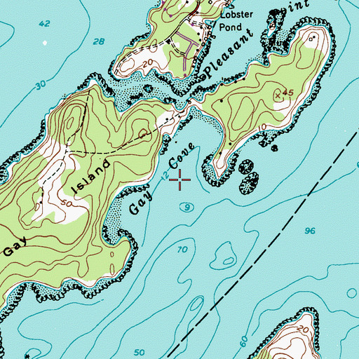 Topographic Map of Gay Cove, ME