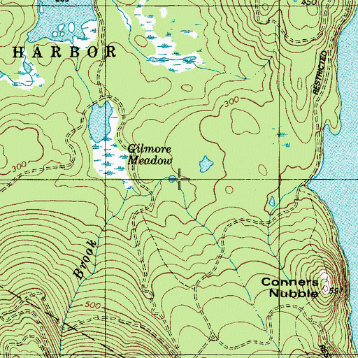 Topographic Map of Gilmore Meadow, ME