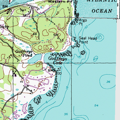 Topographic Map of Godfreys Cove, ME