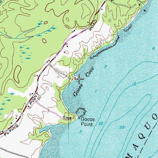 Topographic Map of Goose Cove, ME
