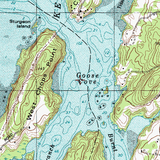Topographic Map of Goose Cove, ME