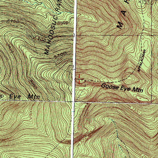 Topographic Map of Goose Eye Mountain, ME