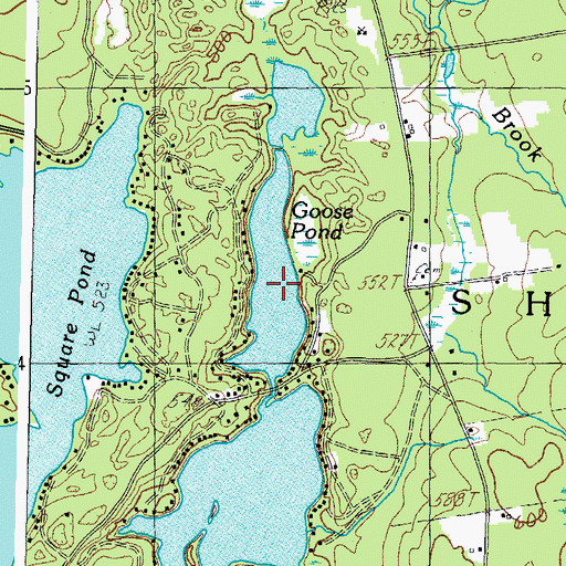 Topographic Map of Goose Pond, ME