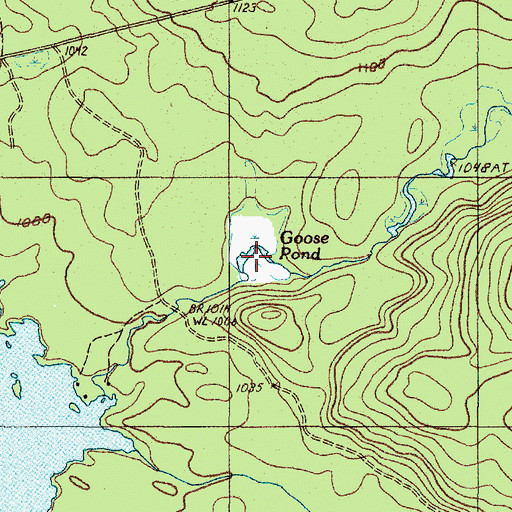 Topographic Map of Goose Pond, ME