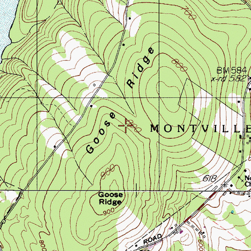Topographic Map of Goose Ridge, ME