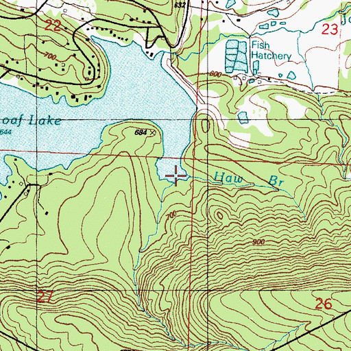 Topographic Map of Haw Branch, AR