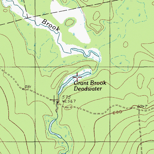 Topographic Map of Grant Brook Deadwater, ME