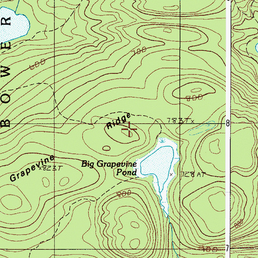 Topographic Map of Grapevine Ridge, ME