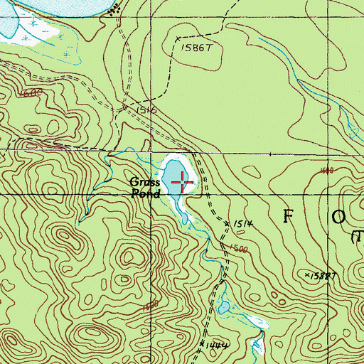 Topographic Map of Grass Pond, ME