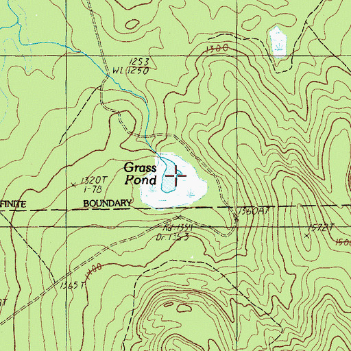 Topographic Map of Grass Pond, ME