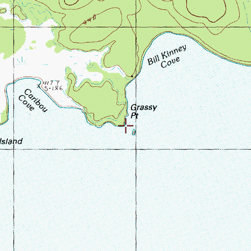 Topographic Map of Grassy Point, ME