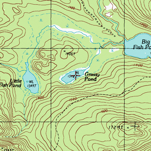 Topographic Map of Grassy Pond, ME
