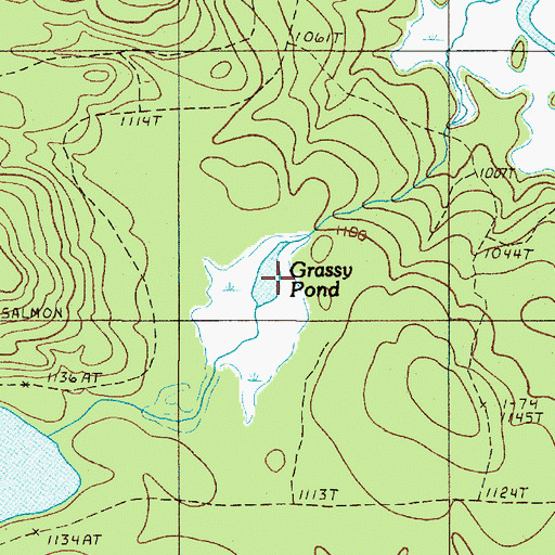 Topographic Map of Grassy Pond, ME