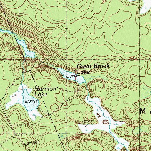 Topographic Map of Great Brook Lake, ME