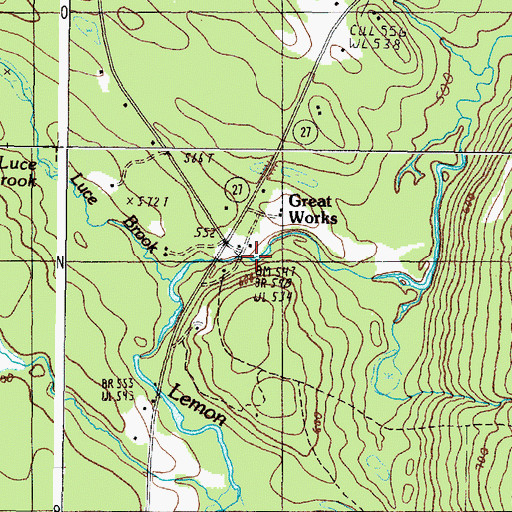 Topographic Map of Great Works, ME