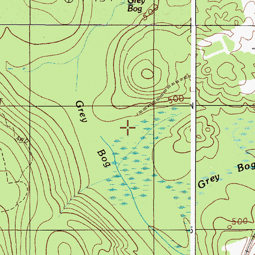 Topographic Map of Grey Bog, ME