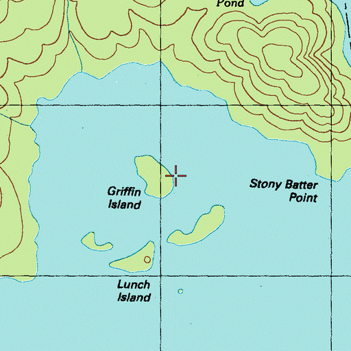 Topographic Map of Griffin Island, ME
