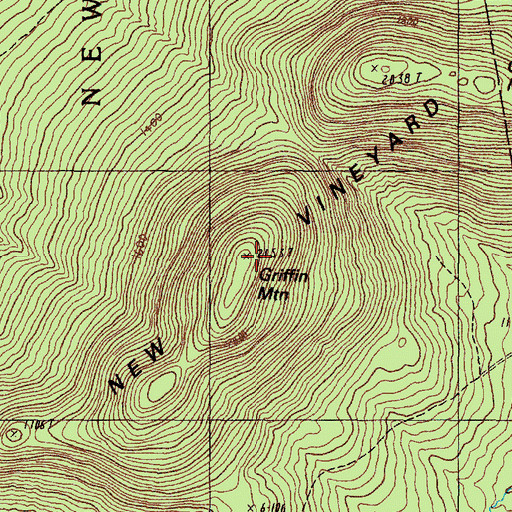 Topographic Map of Griffin Mountain, ME