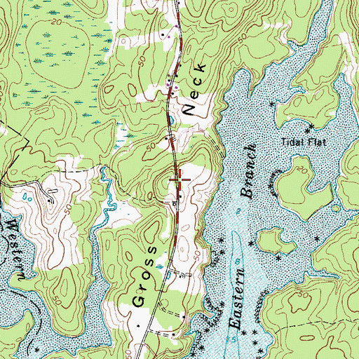 Topographic Map of Gross Neck, ME