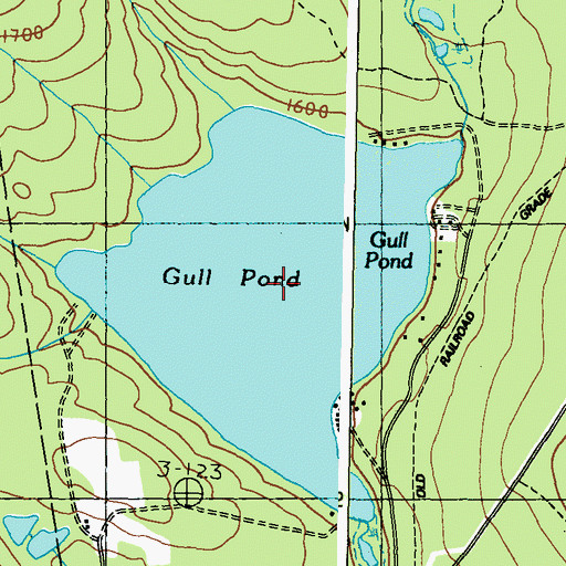 Topographic Map of Gull Pond, ME