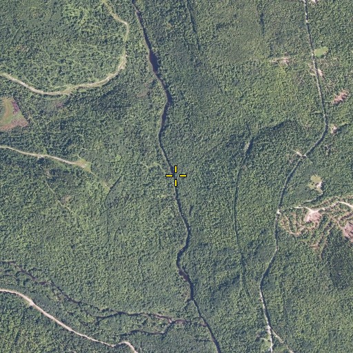 Aerial/Satellite Image of Gully Brook, ME