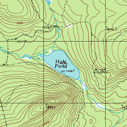 Topographic Map of Hale Pond, ME