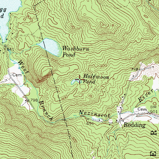 Topographic Map of Halfmoon Pond, ME