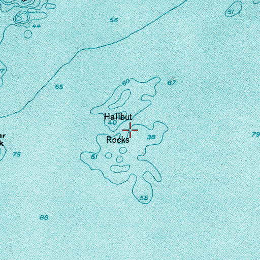 Topographic Map of Halibut Rocks, ME
