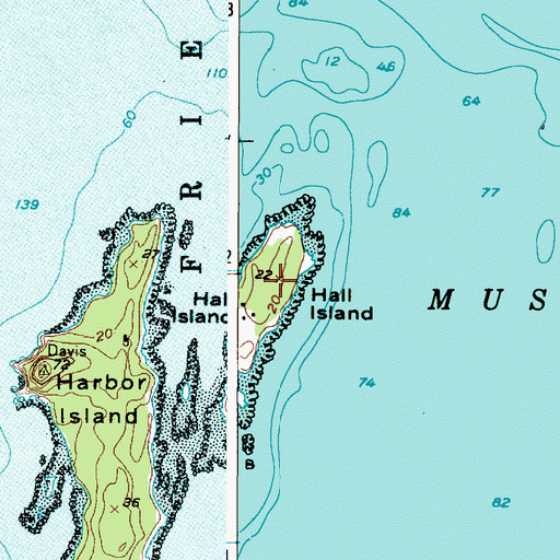 Topographic Map of Hall Island, ME