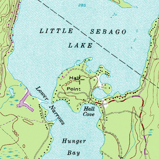 Topographic Map of Hall Point, ME