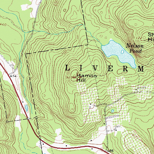 Topographic Map of Hamlin Hill, ME