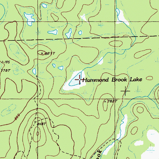 Topographic Map of Hammond Brook Lake, ME
