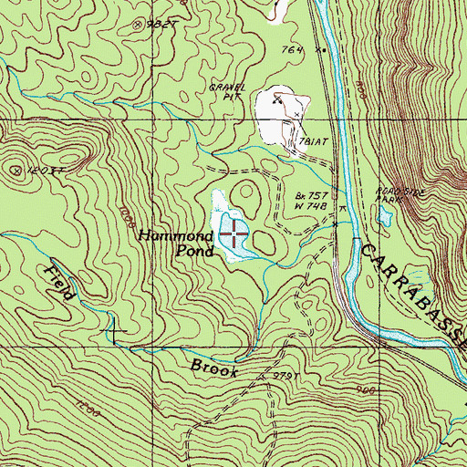 Topographic Map of Hammond Pond, ME