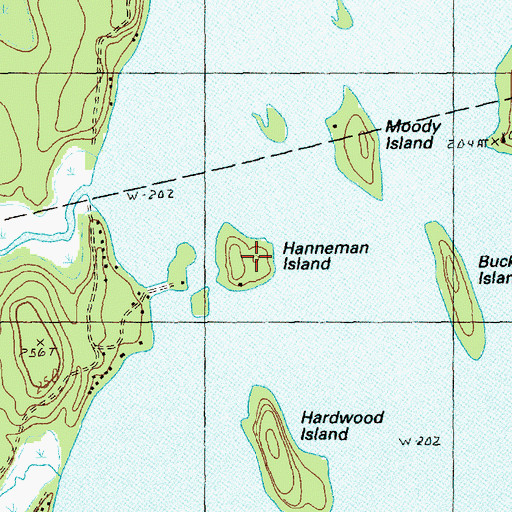 Topographic Map of Hanneman Island, ME